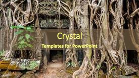  Presentation with tree roots - Amazing theme having tree roots ta prohm temple backdrop and a tawny brown colored foreground