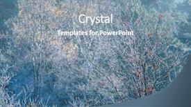  Presentation with winter ice - Amazing PPT theme having tree saplings with a few backdrop and a gray colored foreground