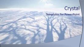  Presentation with shadow - Slides consisting of tree shadow on snowy landscape background and a sky blue colored foreground