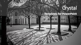  Presentation with tree - PPT theme featuring tree shadows in morning dresden background and a dark gray colored foreground