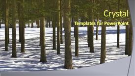  Presentation with forest winter - PPT theme having tree-shadows-in-winter-forest background and a  colored foreground