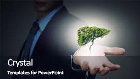  Presentation with anatomy liver - PPT theme having tree shaped like human liver background and a black colored foreground