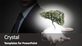  Presentation with anatomy liver - Colorful slides enhanced with tree shaped like human liver backdrop and a dark gray colored foreground