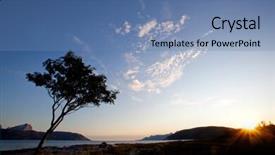  Presentation with tree silhouette - PPT theme consisting of tree silhouette against a sunset and ocean background background and a teal colored foreground