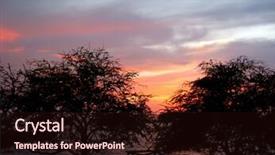  Presentation with tree silhouette - Slides with tree silhouette against vivid tropical sunset background and a wine colored foreground