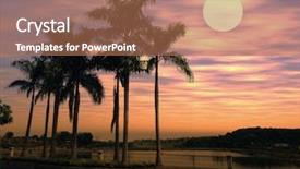  Presentation with tree silhouette - Slide deck consisting of tree silhouette on paradise sunset background and a coral colored foreground