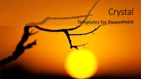  Presentation with tree silhouette - Audience pleasing theme consisting of tree silhouette backdrop and a gold colored foreground