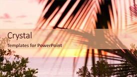  Presentation with skies - Audience pleasing PPT theme consisting of tree silhouettes burning skies backdrop and a coral colored foreground