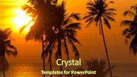  Presentation with coconut tree - Audience pleasing PPT theme consisting of tree silhouettes coconut horizon backdrop and a tawny brown colored foreground