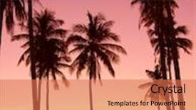  Presentation with palm oil seeds of tree - Amazing theme having tree silhouettes palm paradise backdrop and a coral colored foreground