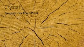  Presentation with tree rings - Presentation theme consisting of tree-slice-with-annual-rings background and a gold colored foreground