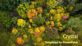 Presentation with autumn view autumn nature - Beautiful PPT theme featuring tree sunrise birds - aerial view of beautiful autumn backdrop and a tawny brown colored foreground