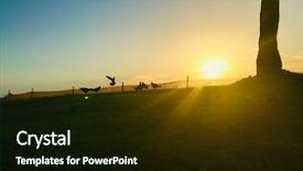  Presentation with florida beach - Presentation design having tree sunrise birds - group of pigeons on green background and a black colored foreground