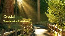  Presentation with taiga boreal forest - Colorful PPT theme enhanced with tree sunset - beams in sunny forest backdrop and a  colored foreground