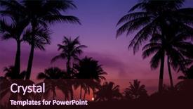  Presentation with tree silhouette - Audience pleasing PPT theme consisting of tree sunset - palmtrees silhouette on sunrise backdrop and a wine colored foreground