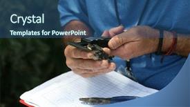  Presentation with swallow - Slide set enhanced with tree swallow aka tachycineta bicolor background and a ocean colored foreground