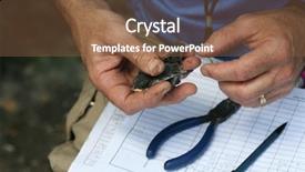  Presentation with research study - Amazing slide set having tree swallow aka tachycineta bicolor backdrop and a tawny brown colored foreground