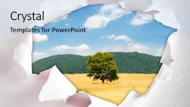  Presentation with lonely - Slide set with tree through hole in paper background and a light blue colored foreground