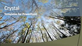  Presentation with oak forest - PPT layouts consisting of tree top in new england background and a seafoam green colored foreground