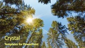  Presentation with forests - Slide set with tree-tops-of-pine-trees background and a tawny brown colored foreground