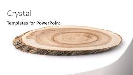  Presentation with cross - Beautiful slide set featuring tree-trunk-cross-section-isolated backdrop and a white colored foreground