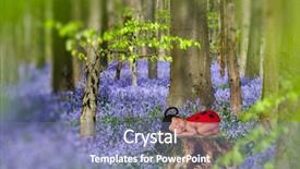  Presentation with baby tree - Audience pleasing PPT theme consisting of tree trunk in a bluebell backdrop and a  colored foreground
