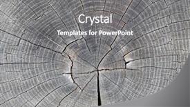  Presentation with tree rings - Presentation theme featuring tree trunk showing growth rings background and a gray colored foreground