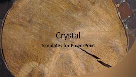  Presentation with tree rings section - Slide deck having tree trunk with growth rings background and a coral colored foreground