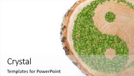  Presentation with harmony - PPT layouts with tree trunk with ying yang background and a white colored foreground