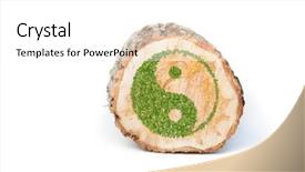  Presentation with harmony - Cool new PPT layouts with tree trunk with ying yang backdrop and a white colored foreground
