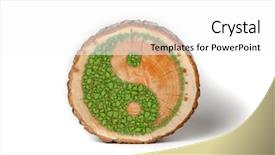  Presentation with harmony - PPT theme enhanced with tree trunk with ying yang background and a white colored foreground