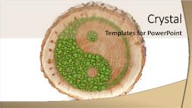  Presentation with harmony - Presentation featuring tree trunk with ying yang background and a coral colored foreground