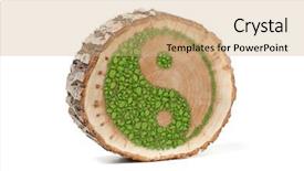  Presentation with harmony - Audience pleasing slide set consisting of tree trunk with ying yang backdrop and a coral colored foreground