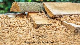  Presentation with biomass - Colorful presentation theme enhanced with tree-trunks-and-wood-pellets backdrop and a coral colored foreground