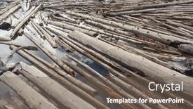  Presentation with tree river - Beautiful slides featuring tree-trunks-floating backdrop and a violet colored foreground