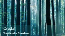  Presentation with enchanted forest - Theme with tree trunks in the enchanted background and a ocean colored foreground