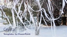  Presentation with tissue paper - Cool new presentation design with tree-vandalized-with-toilet-paper backdrop and a lemonade colored foreground