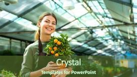  Presentation with hands holding a tree - Colorful presentation theme enhanced with tree while working in conservatory backdrop and a tawny brown colored foreground