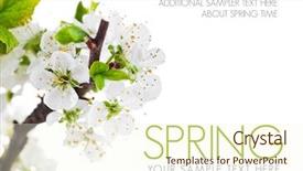  Presentation with branch - Presentation design enhanced with tree with green leaves spring background and a cream colored foreground