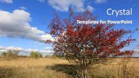  Presentation with dry fruits - PPT theme having tree-with-hawthorn-fruits background and a teal colored foreground