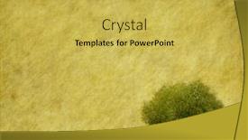  Presentation with antique paper texture - Audience pleasing presentation theme consisting of golden floral - tree with old grunge antique backdrop and a yellow colored foreground