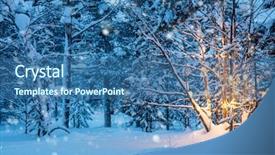  Presentation with winter landscape winter tree - Presentation theme with tree with warm garland lights background and a ocean colored foreground