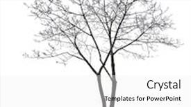  Presentation with leaves - PPT layouts enhanced with tree without leaves isolated on white background background and a white colored foreground