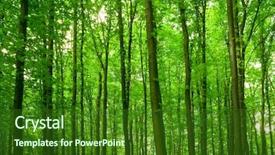  Presentation with pathway - PPT layouts consisting of tree wood - nature pathway in the forest background and a forest green colored foreground