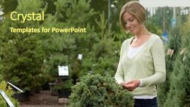  Presentation with purchasing - Slides consisting of tree work - attractive female purchasing shrub background and a tawny brown colored foreground