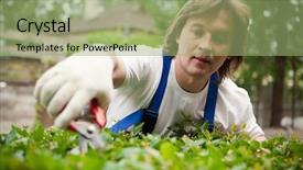  Presentation with welder worker welding and cutting - Beautiful slides featuring tree work - gardener cutting a bush backdrop and a  colored foreground