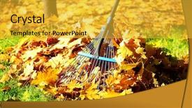  Presentation with fall leaves - Amazing PPT theme having tree work - raking fall leaves with rake backdrop and a yellow colored foreground