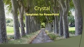  Presentation with path - Slides with treelined-path-on-country-road background and a tawny brown colored foreground