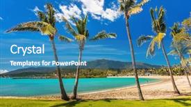  Presentation with palm beach - PPT theme consisting of trees airlie beach whitsundays queensland background and a teal colored foreground