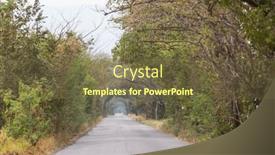  Presentation with misty - PPT theme consisting of trees-alley-in-misty-morning background and a tawny brown colored foreground